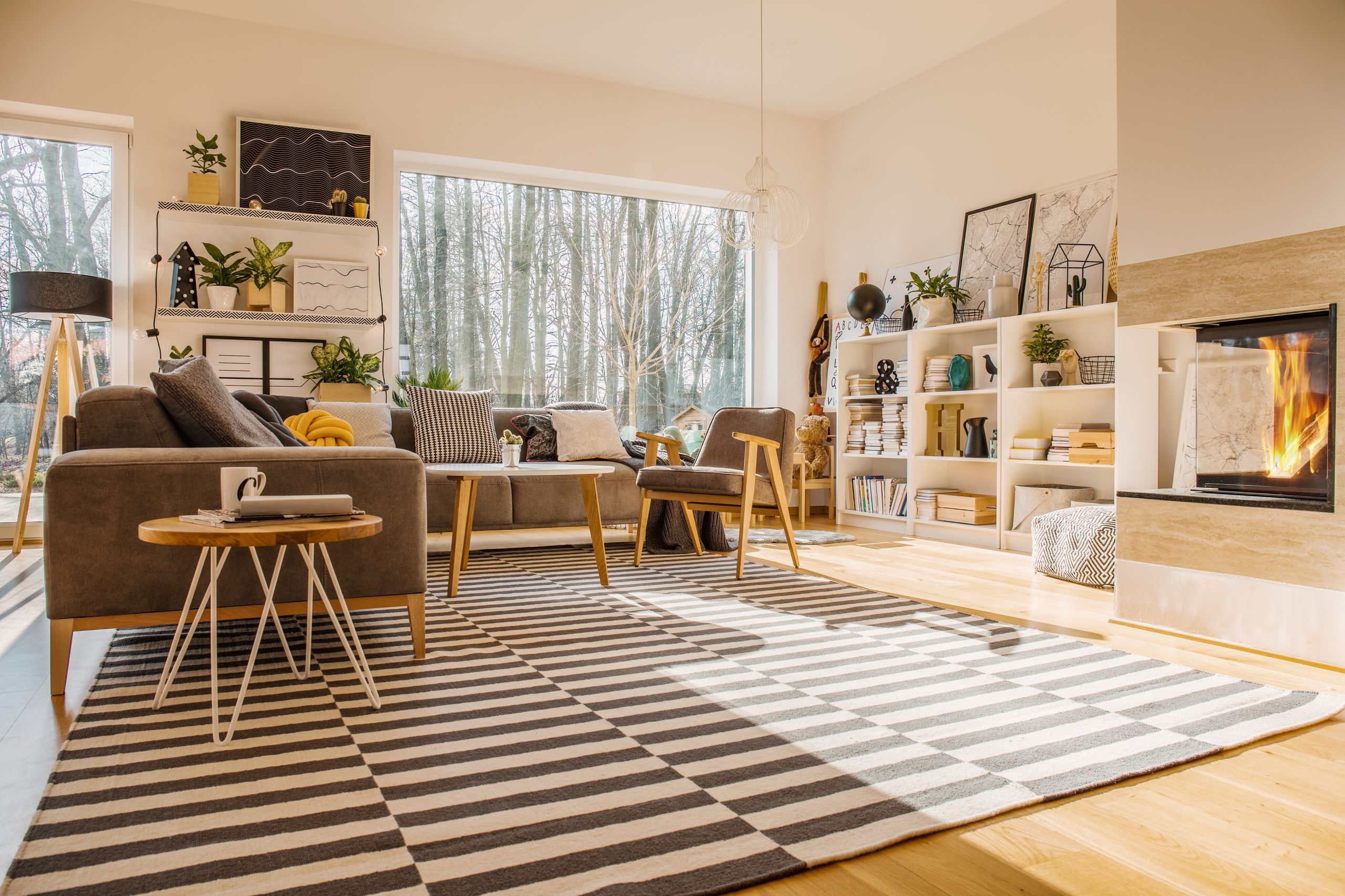 living room with area rug