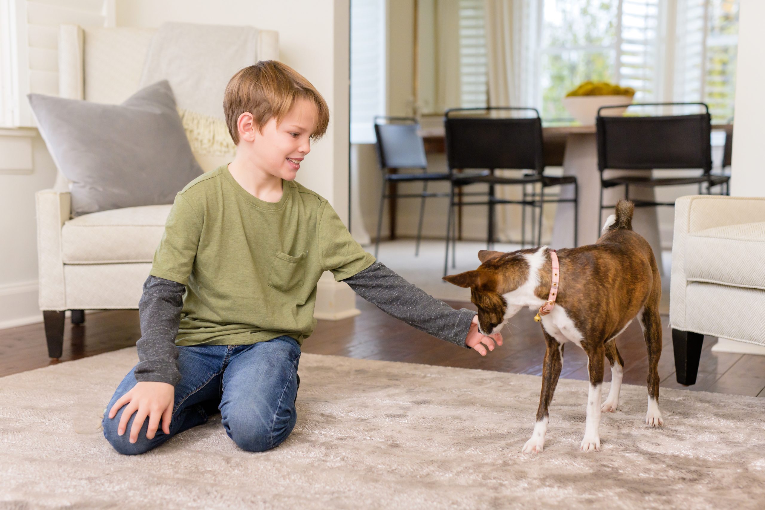 kid and dog playing on clean rug