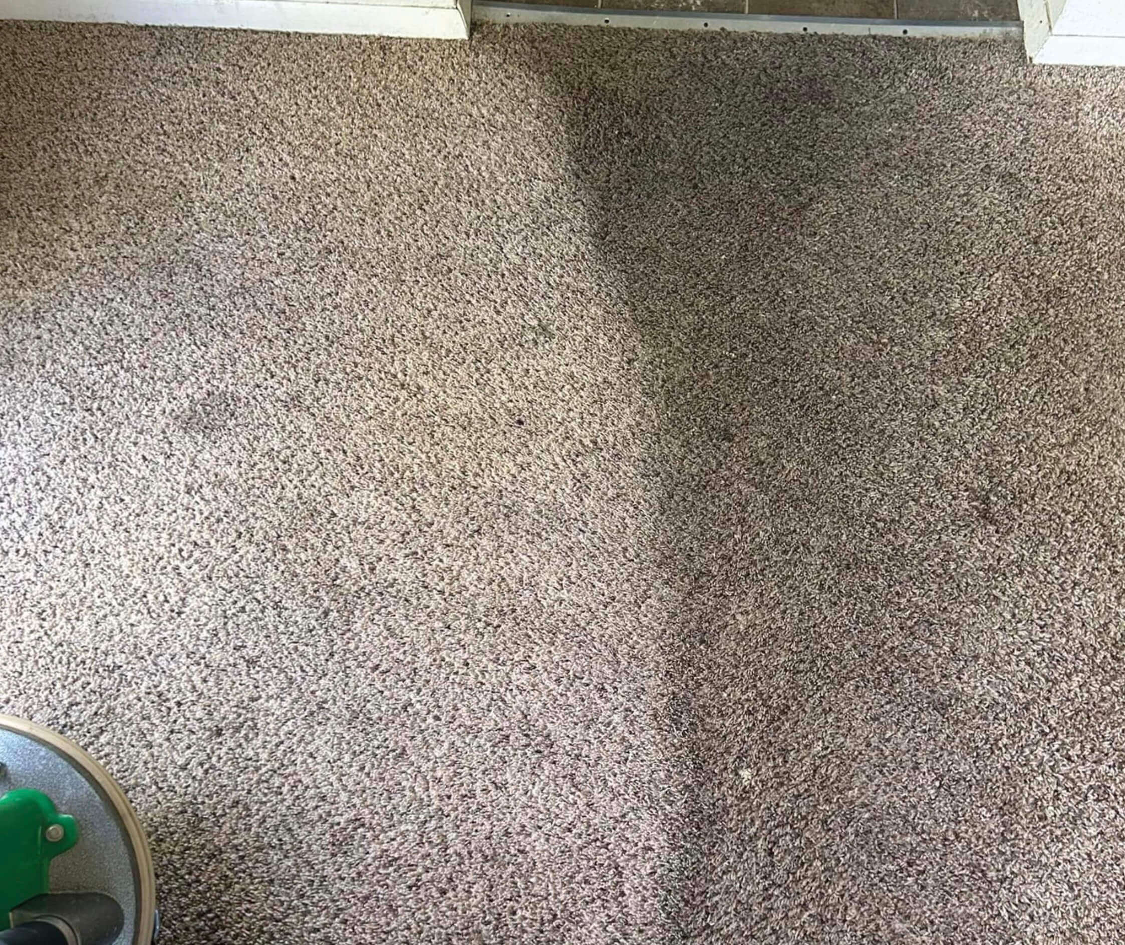 carpet cleaning service healthy life chem-dry owners